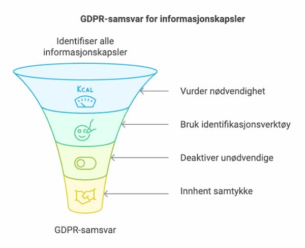 Informasjonskapsler cookies datainnsamling - Digital Strategi AS