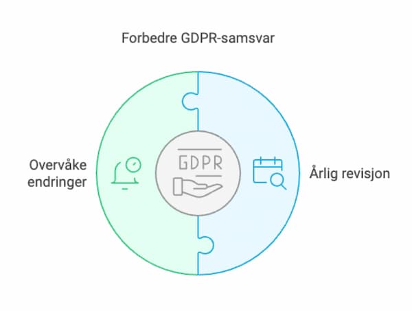 Overvaking og revisjon