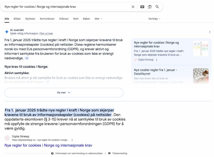 Google ai-oversikt